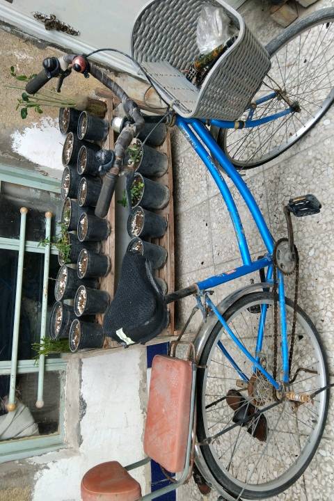 بايسكل  صار مدة متروك التاير الخلفي انفخة ويرجع ينزل  لان متروك ..مراوس بايسكل ابو الطبكة اذا عندك...  مكاني .           بغداد. كفاءات# العبيدي. قرب سكلة ابو حسن  راسلني على التطبيق متواجد