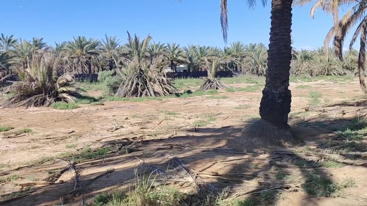 السلام عليكم خمسه دونم طابو ملك صرف بشارع المهندسين كامل خدمات سعر مناسب وخاص ليريد يستفسر يتصل ع رقم ***********
