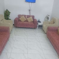 تخم خشب تركي اصلي تفصال  وياه كوشات 8 السعر  575 07811038178