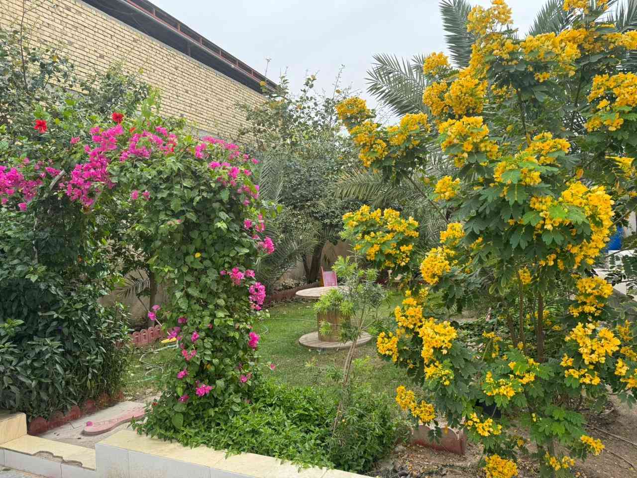 بيت للبيع گرمه علي 
نهايه حي الرساله 
المساحة الكليه  500 متر 
البناء 300 متر
 الحديقة 200 متر
يحتوي على استقبال
 وهول وصالة
 وأربعة 4غرف 
وصحيات خارجية وداخلية ومطبخ وفضاء خارجي في الطابق الثاني 
البيت معروض مع الأثاث
ليس طابو...
السعر 210 وبيه مجال 
عقارات ابو كيان 
رقمي القديم ***********

رقمي الجديد *********** واتساب
