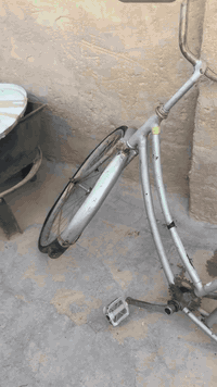 سلام هليكم عيوني هاذ الباسكل للبيع عوزه ويل خلفي السعر خاص شراي تعال ل...