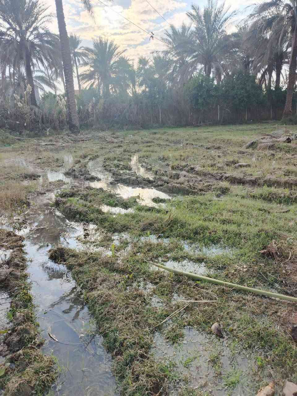 سلام عليكم للبيع دونم و500 متر سند 25 تحويل مباشر بسم المشتري بغداد الراشدية قرية العراكنة تبعد عن ناحية ربع ساعة وعن شارع العام طريق بغداد كركوك كيلو كهرباء ماء سقي ماء اساله تصلح سكن مزروع نخل واجه 30نزال 100 ملك صرف كل خدمات كامله يبعد عن تبليط 600متر سعر 150 وبي مجال ***********
