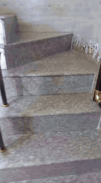 السلام عليكم دار للبيع الدولعي المربع الذهبي قرب ثانويه ام المؤمنين على الشارع العام المساحه 66 متر مكلف بالنشر رقم ***********
