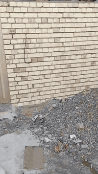 بيت للبيع • الدوانم • ٥٠م