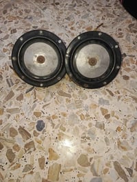 هورنات • بوش