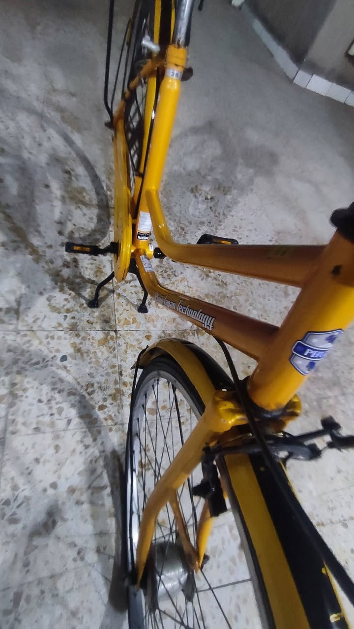 سلام عليكم
بسكل جديد كلش سعر 75


**إذا كنت صاحب هذا الإعلان وتريد حذفه لأي سبب، رجاءا أرسل رسالة إلى الدعم الفني**