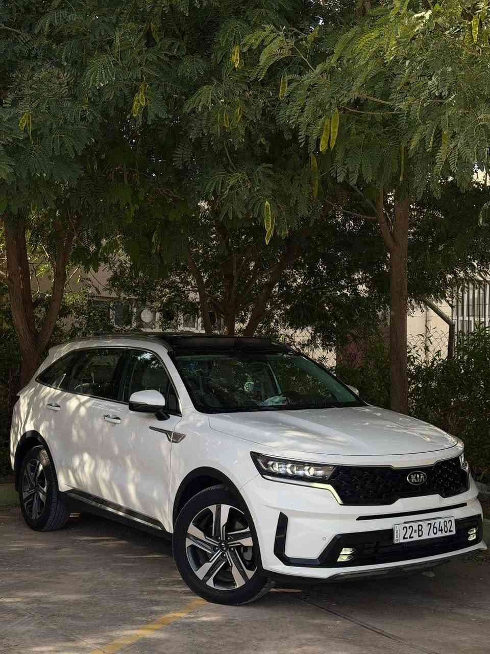 سرنتو 2021 فول فول موصفات كفاله عامه ماشيه ٨٥ الف هزا سنويه كله جديد تحويل وكاله حاضر بانروما كشن ٢ كهرباي شاشه جبير جنطه كهرباي عدسه داخل لولين باقي موصفات معروف مكان سياره كركوك سعر 285 وبي مجال ***********
