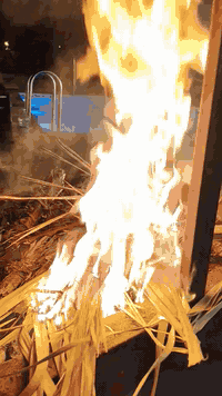 مزرعة الماسة • داخل الفلوجة • مسبح