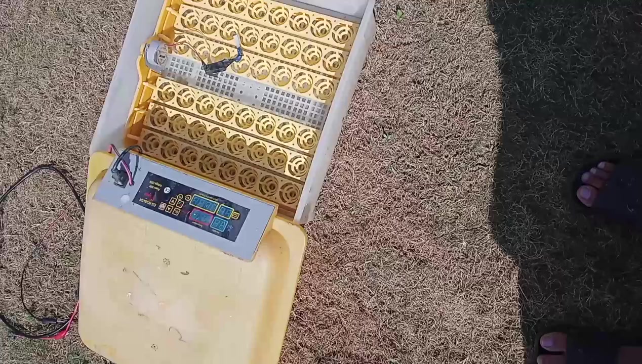 ‏‪***********‬‏مفقسة للبيع تاخذ 48 بيضه سعر 100 وبيه مجال
