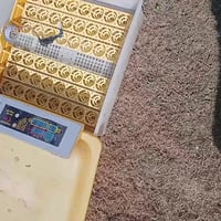 ‏‪07702861179‬‏مفقسة للبيع تاخذ 48 بيضه سعر 100 وبيه مجال