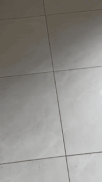 خلفه سيراميك متفرغ
شغل نضيف وعل ضمان 
عل متر ويوميه 
العنوان بصره 
***********واتساب
