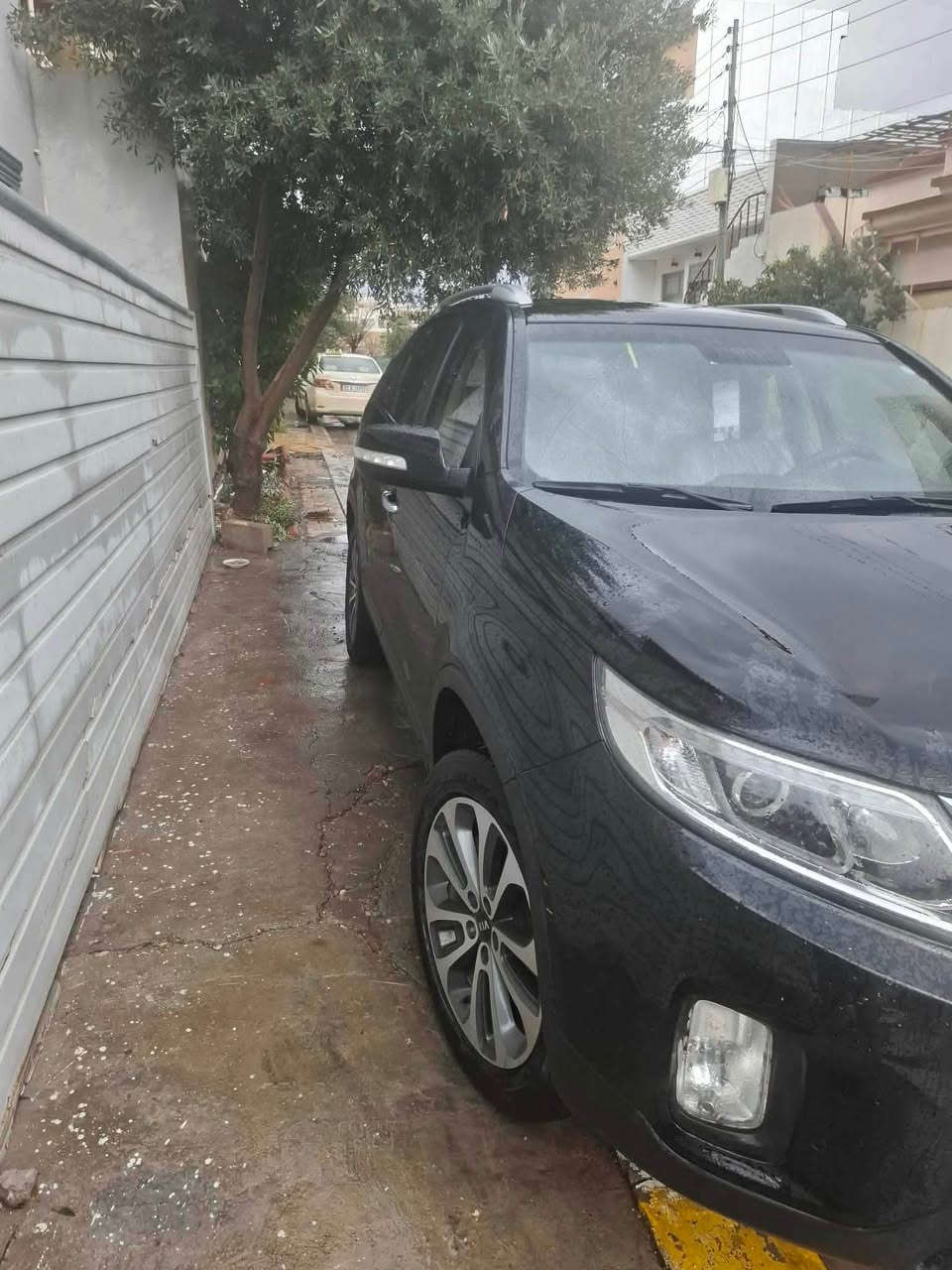 كيا سورنتو موديل ١٣ شكل ١٤ خليجي رقم سليمانية دولي اربعة سلندر حساس امامي خلفي تحكم ستيرن شاشة كاميرا كفالة عامة ماشية ١١١ الف حقيقي للاستفسار *********** السعر ١٦٨ ورقة وبي مجال السليمانية, العراق
