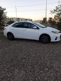 كورلا امريكي • ٢٠١٥ • فول اوبشن