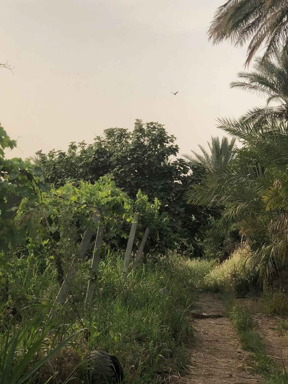 سلام عليكم
بستان البيع 
مساحه 4دوانم
العنوان صلاح الدين قضاء بلد يم الكاكات مال مشروع بستان 
واتساب*********** 
اتصل*********** 
حسب زبون انبيع حياكمً الله 
تفيد منتجعات سياحيه
