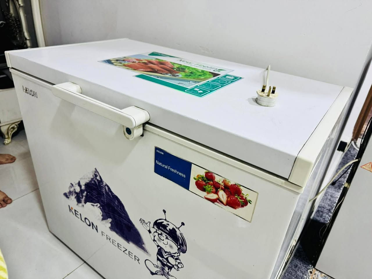 مبرده شغاله كلها 50 سرير 45 مجمده 250 كنتور سلايت نضيف 90 غرفه مصري 250 مكان نجف


**إذا كنت صاحب هذا الإعلان وتريد حذفه لأي سبب، رجاءا أرسل رسالة إلى الدعم الفني**