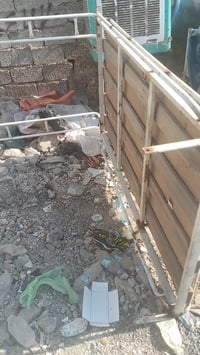 سيبايا • تيك تيك • العماري