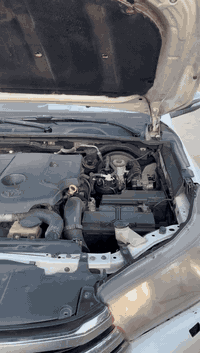 السلام عليكم
بيكم فلاونزا گاز ادبلو موديل 2017 النمره الخامسة والسادسة مايطيحن بيها صبغ باب الايمن وصبغ جوا البگ لايتات مكان البصرة - الزبير - الشعيبة تحويل ثاني يوم سنوية ل 2029 السعر 185 وبيها مجال للشراي للاستفسار ***********
