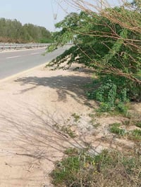 ٣ دوانم • أرض • شارع جبل