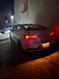 النترا • ٢٠٢٠ • وارد أمريكي