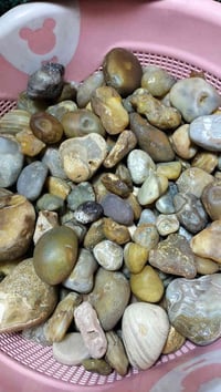 متوفر جمله فقط 07822577691