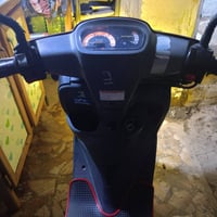 منغولي • جديدة • عل فحص