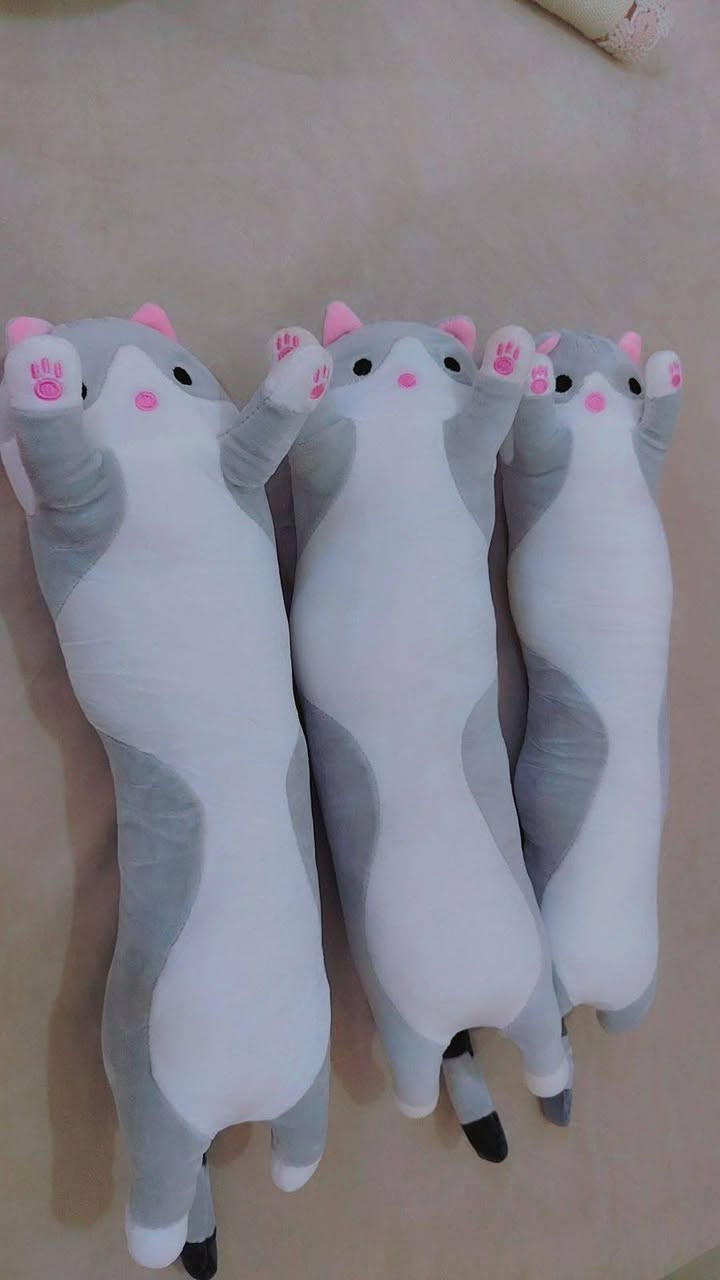 امزونيات متنوعه


**إذا كنت صاحب هذا الإعلان وتريد حذفه لأي سبب، رجاءا أرسل رسالة إلى الدعم الفني**