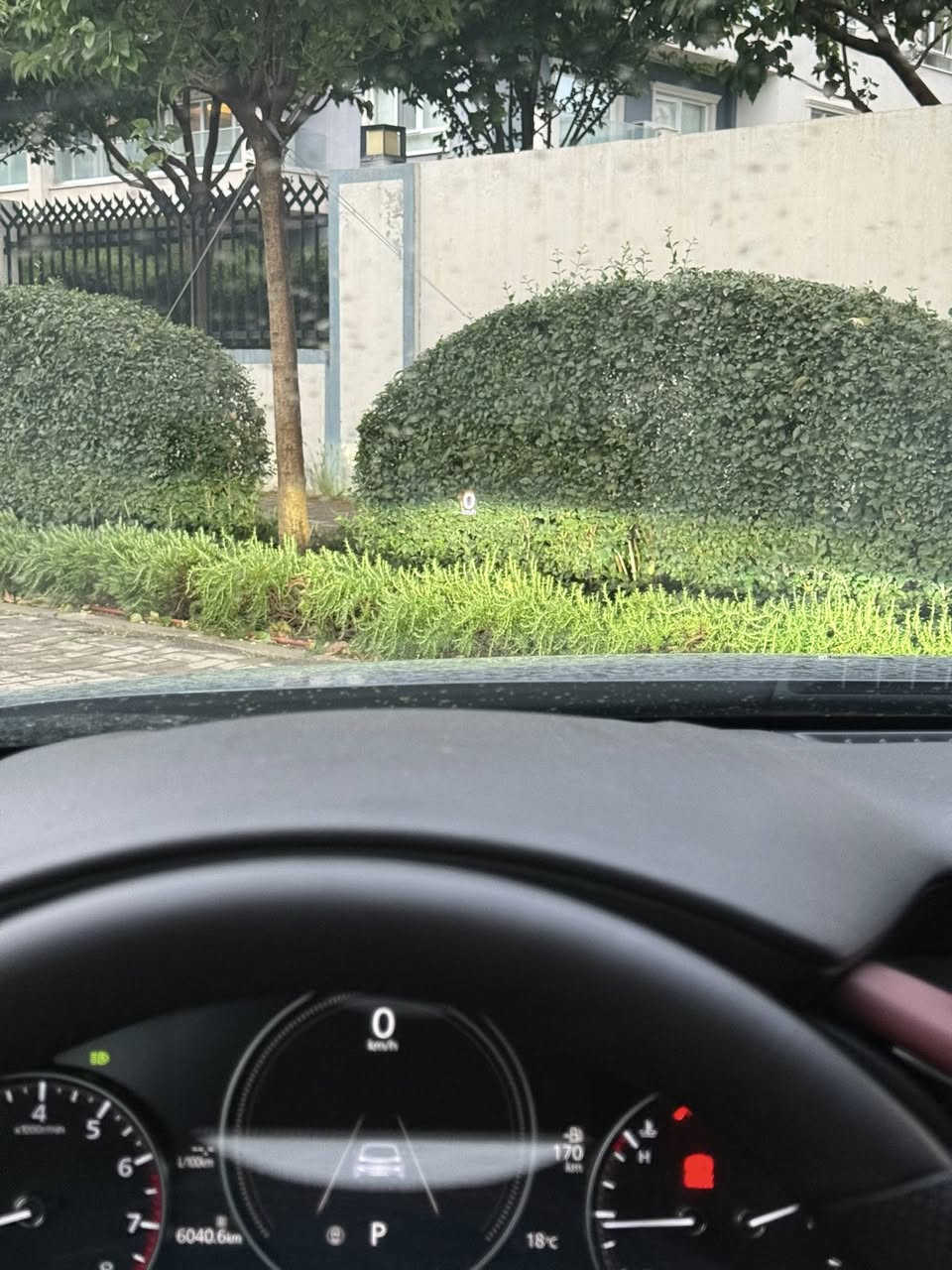 🚀‎مازدا ۳ پریمەر پلەس  ۲٠٢٣ تۆربۆ دەبل ئەکسل
‎فوول مواسەفات

‎٥ کامێرا
 رادار چوارلا 
داتاشۆ 
سلایت 
لایت ئەلقە 
شەفتی سەر سوکان
مکەبەرە BOSE
سوکان هیتەر
جلد کارەبا هیتەر + سوکان هیتەر
 تەحدید سورعە ۳ مۆدی لێخورین شاشە کامێرە حاسە

‎ مایل ڕۆشتووە٥٠
چەمەلەخ و نیو بۆنیتی بۆیاخە 
‎١٥٢ گەلاو معامەلە

‎ژمارەی شانسی👇

JM1BPBNY3P1604872

***********📞
