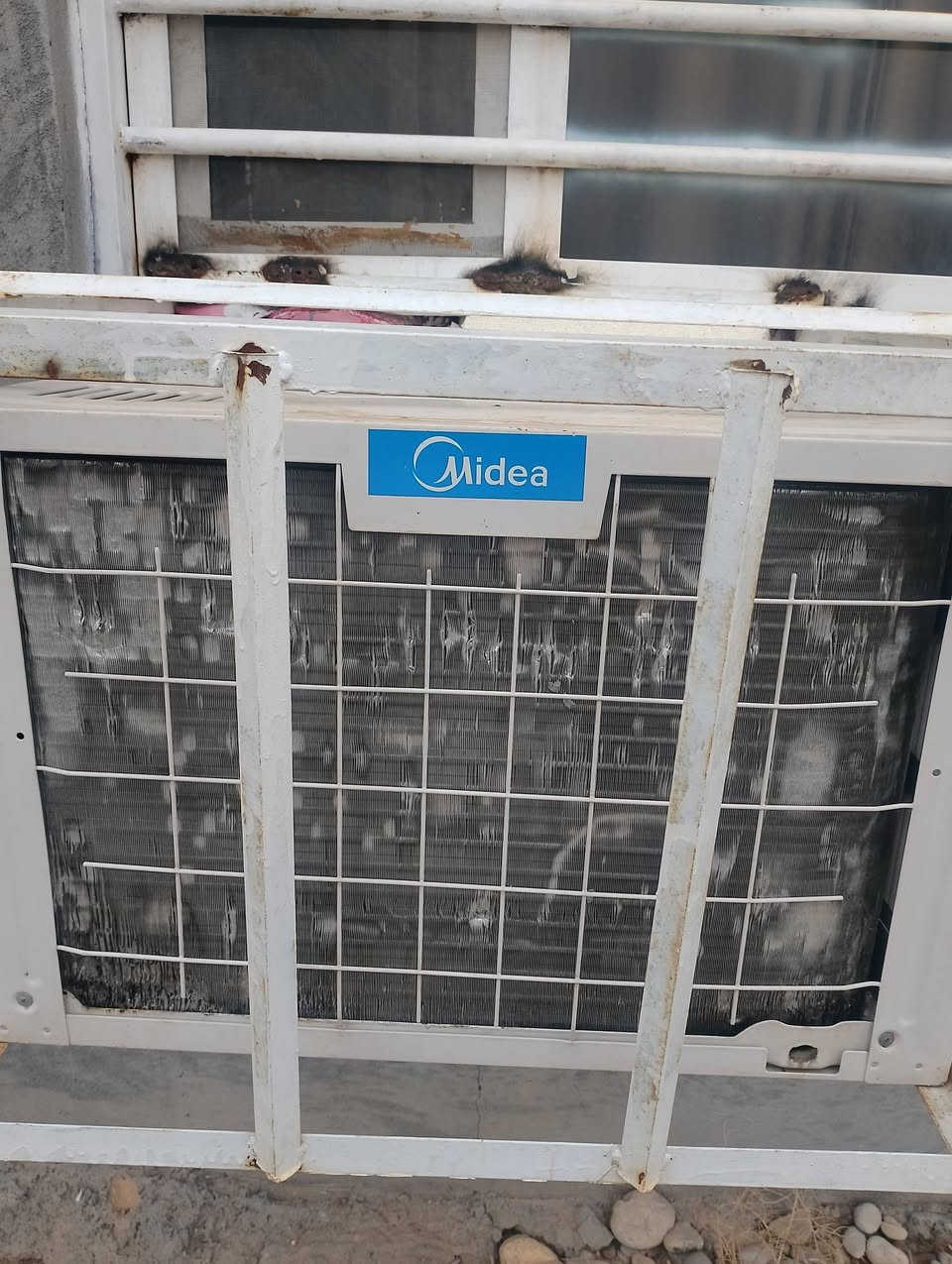 مكيفات للبيع الحافظ وميديا راوتري وجنرال الاصلي طنين ونص كمبيرسر على 200 الف الواحد مال بيتنا


**إذا كنت صاحب هذا الإعلان وتريد حذفه لأي سبب، رجاءا أرسل رسالة إلى الدعم الفني**