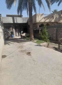 ٢٥٠م • واجهة٦٫٦×٣٧م • ٣ فيز