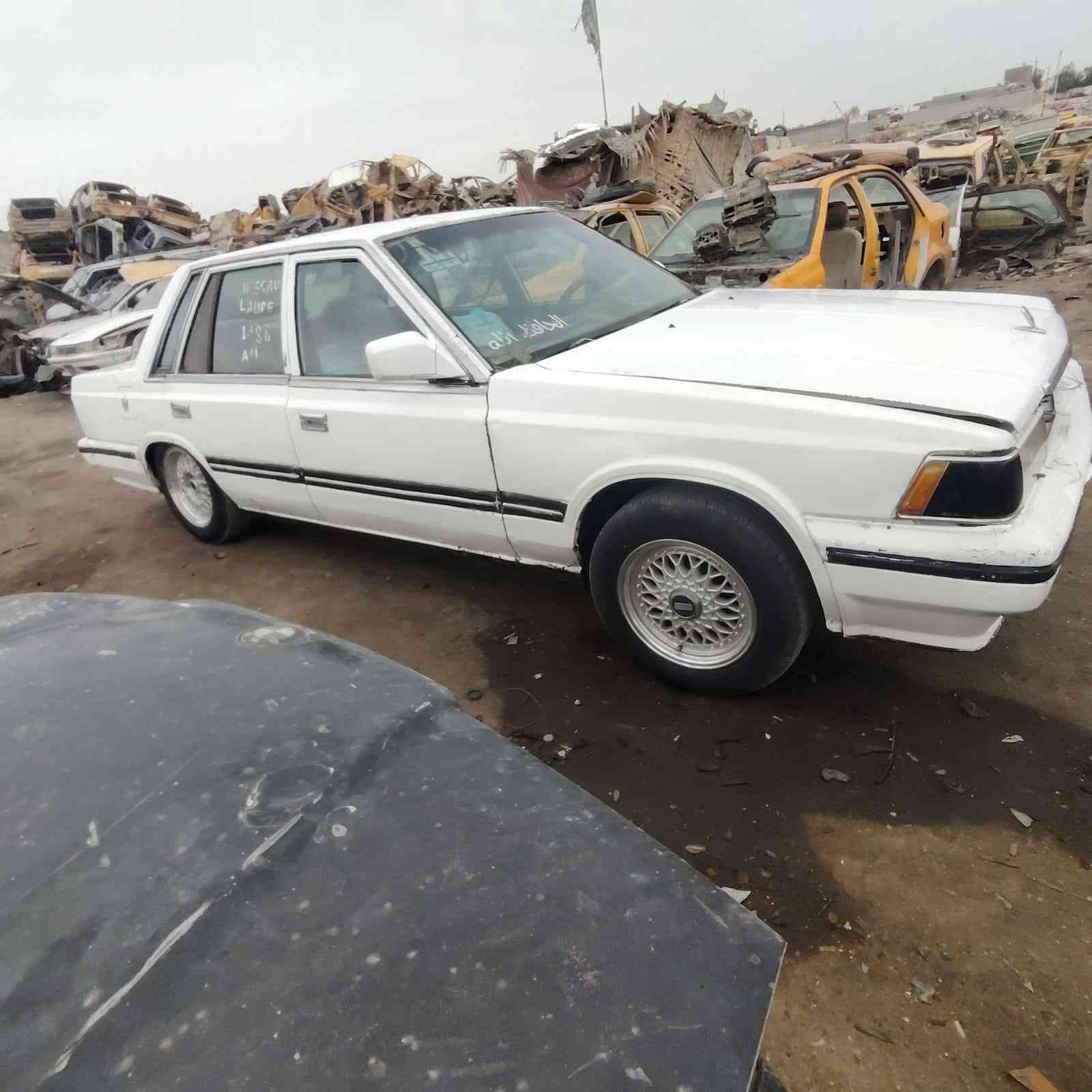 تفصيخ جميع سيارات


**إذا كنت صاحب هذا الإعلان وتريد حذفه لأي سبب، رجاءا أرسل رسالة إلى الدعم الفني**