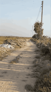 4 دونم طابو زراعي سند 25 للبيع العنوان المدائن منطقة الجعارة مدخل من ي...