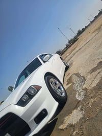 جارجر • ٢٠١٤ • وارد امريكي