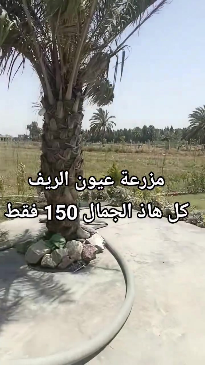 #مزرعه #عيون_الريف  مو بس مكان، 
هو ملاذ يبعدك عن تعب الحياة ويقربك للراحة الحقيقية

اهلاً وسهلاً بكم في مزرعه عيون الريف 
 • بنظام فندقي( للايجار اليومي والشفتات )

#الموقع 📍 بغداد اليوسفيه 

🔴غرف نوم مريحة بتصميم أنيق

 🔴مسبح خاص يضيف لمسة فخامة

 🔴جلسات خارجية مثالية للسهرات

#الحجز ولاستفسار 📲  ،***********

الجميع
