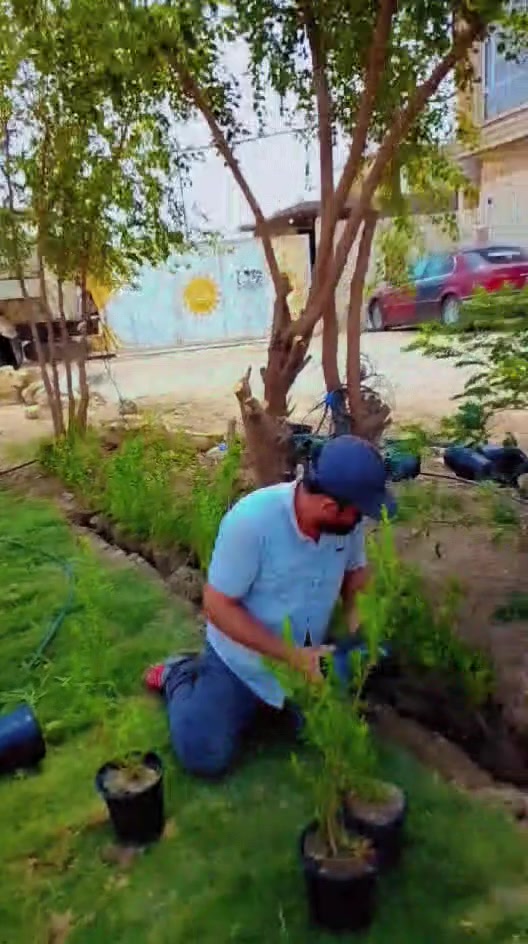 سلام عليكم. اي واحد يحتاج. اشتغل دحائق. شغل نضيف. شد مرشات  مخفيه دفن. شتل. اشجار  اشجار مثمره. واشجار مزهره فرش ثيل. مثل ماتشوفون. مع التفاق مع ابو مشتل نجيبلك اشجار انواع جيده. وبسعر مناسب. وابو الثيل هم.  تسميد تنضيف حداق. ترتيب. شغل فوال. سعر مناسب ***********
