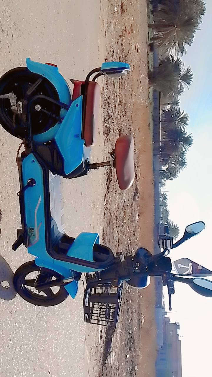 دراجه شحن للبيع
4بطاريات 
حجم 14
الدراجه نضيفه حيل 
السعر 250وبيهه مجال 
ألعنوان /بغداد الدوره 
رقم ألهاتف ***********
