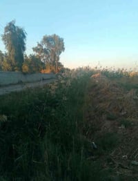 سويب سند ١٧ • ٦٠٠م • قرب سيطرة سويب