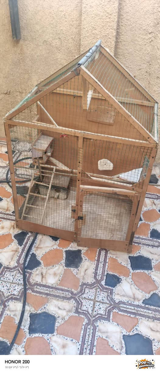 قفص مال طيور حب كوكتيل
السعر 25بي مجال


**إذا كنت صاحب هذا الإعلان وتريد حذفه لأي سبب، رجاءا أرسل رسالة إلى الدعم الفني**