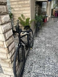 C700 • أوتر ليمتس • كشن رياضي