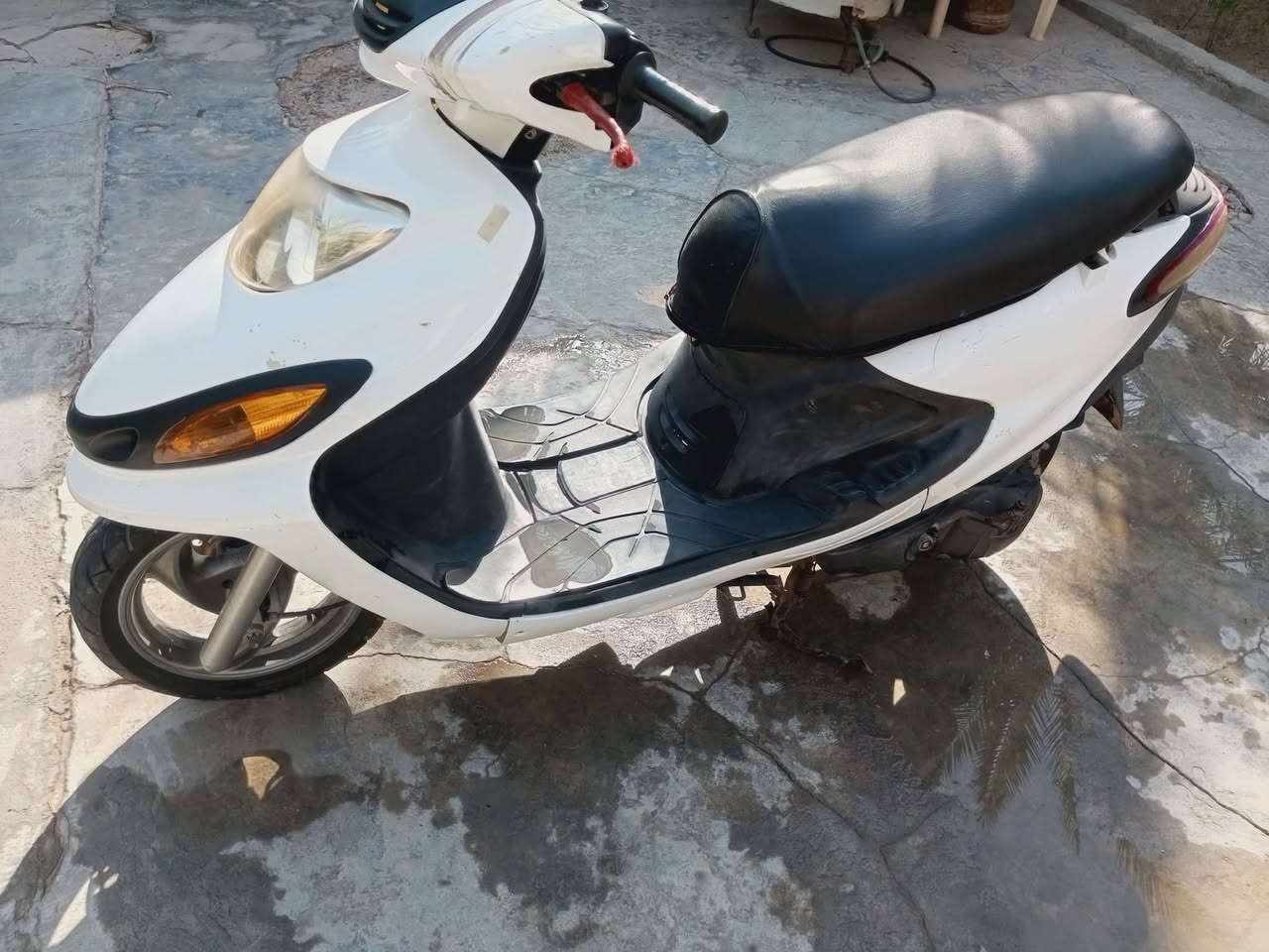التفاصيل بالفيديو ***********
