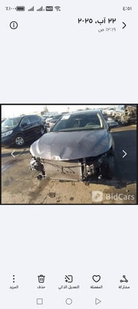 كامري LE • ٢٠١٩ • ضرر خشم