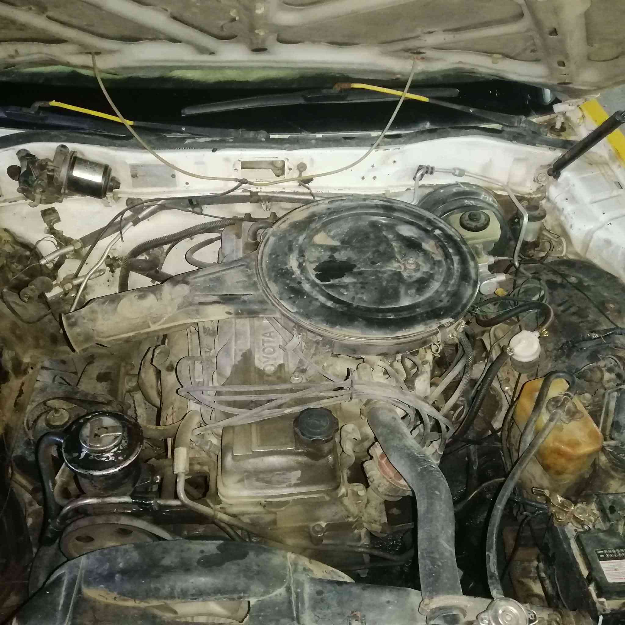 سوبر ٨٦ صلاح الدين رقم صدامي مميز محرك كير كهربايات تايرات صدر كل جديد  تدفئ سياره شرط التحويل
سياره بلادي السعر ٢٠ وبي مجال مراوس هم يرهم اتصال ***********
