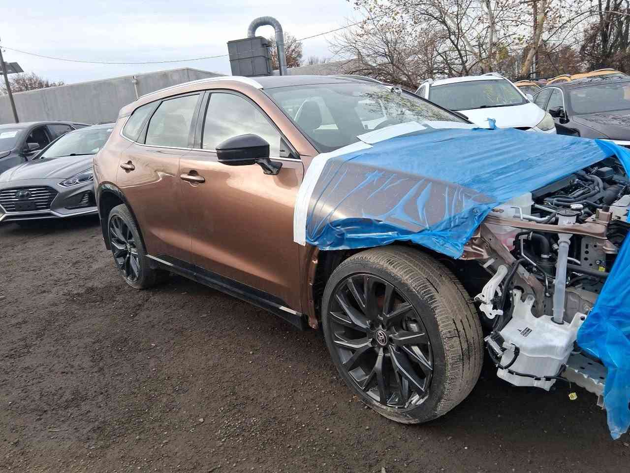 السلام عليكم كروان سگنايا 2025لمتدد
حاليا بالميناء موجوده يستفاد منهاذوي الشهداء
 السياره بالكارتون 
0781800699


**إذا كنت صاحب هذا الإعلان وتريد حذفه لأي سبب، رجاءا أرسل رسالة إلى الدعم الفني**