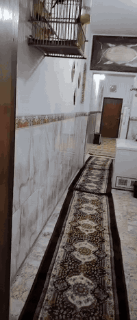 سلام عليكم بيت للبيع 150طابق واحد واجها 5ونزال 30ابوب الشام قريب السوق شارع ام رياض الوكيله بسمي طابو صرف سكتي وباقي التفاصيل اتصال ***********
