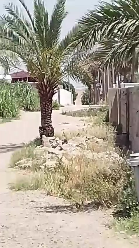 قطعة أرض مع بيت زراعي  مساحه 425 الواجه 12.5 نزال 34 لبيع بغداد قضاء المحموديه مقاطعه 9كويريش قرب السريع الدولي مقابل سيطره 75 الخدمات المتوفره ماء وكهرباء
مكتب الخالدي ابو يزن موبايل *********** كورك ***********
