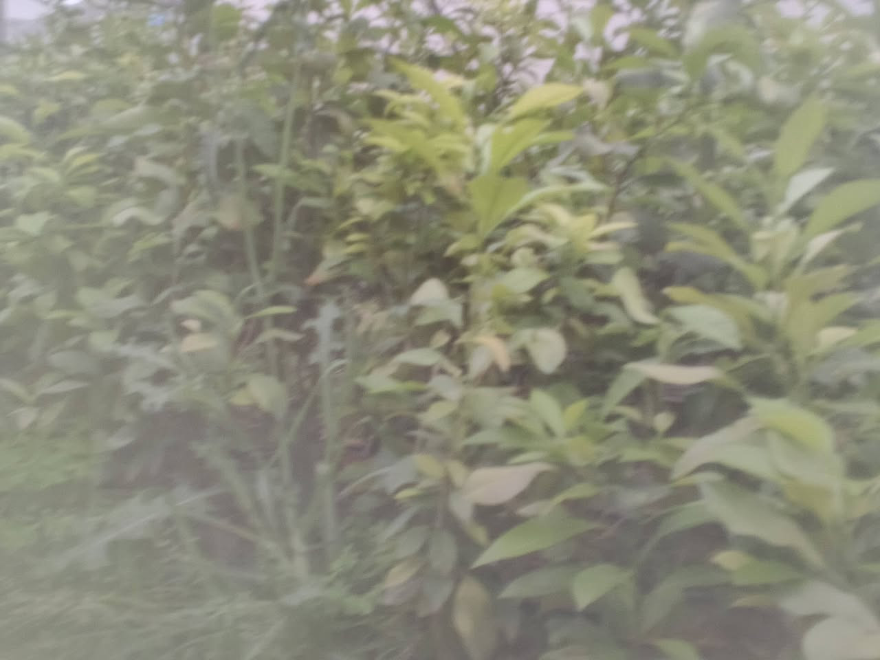 متاح شتل رارنج بسنادين مو جياس
طول متر بالفين اقل بالف ونص اقل بالف 

مكاني طارمية البغدادي يوجد كميات


**إذا كنت صاحب هذا الإعلان وتريد حذفه لأي سبب، رجاءا أرسل رسالة إلى الدعم الفني**