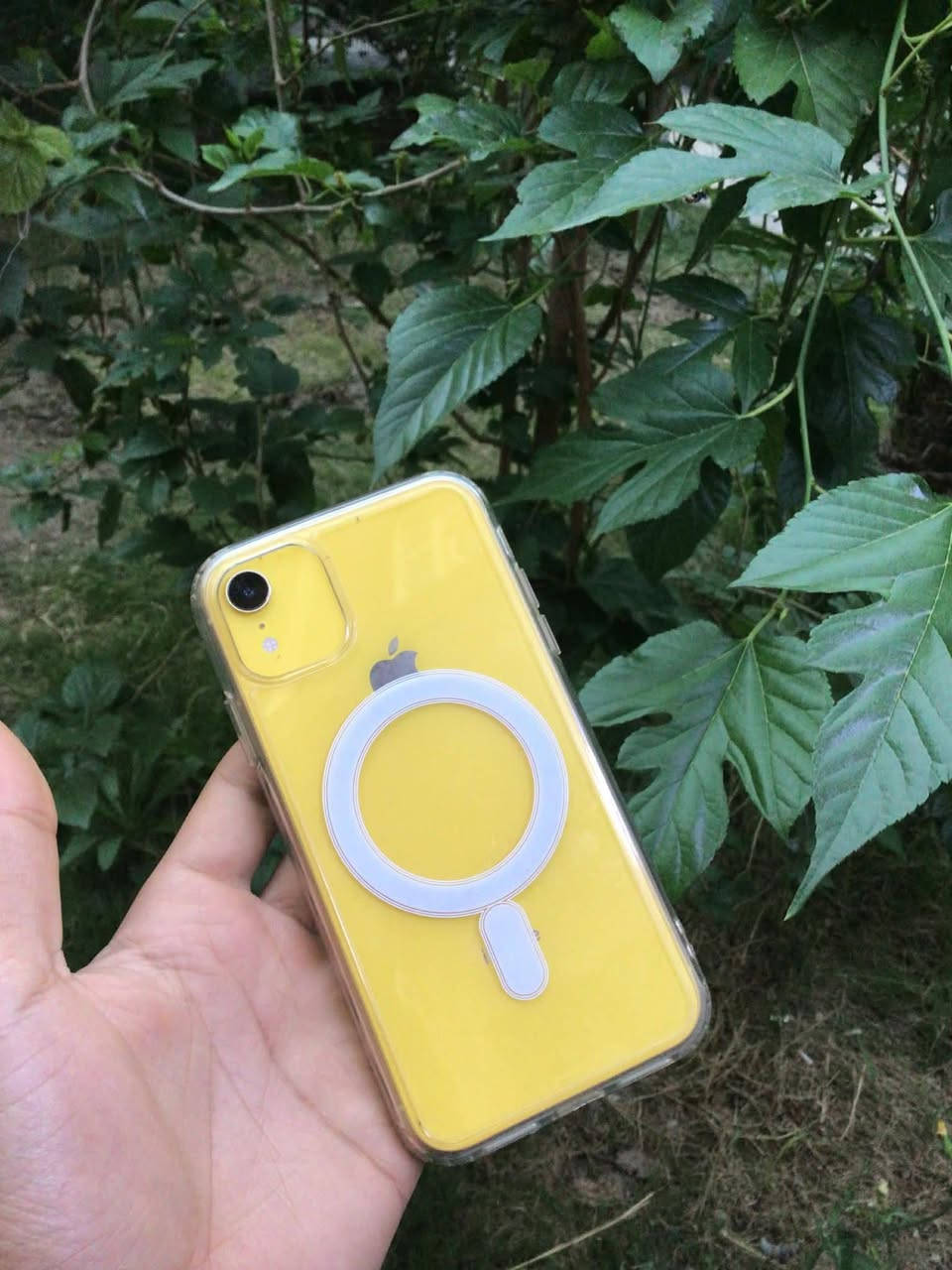 للبيع 📱
موبايل iPhone XR لون أصفر 💛
ذاكرة 64GB
نسبة البطارية 85%

📌 الملاحظات:

مبدل شاشة فقط

الفيس آيدي متوقف

يحتاج بيت سيمكرت + زر صامت

📌 باقي الأمور كلها شغالة 100%:
اتصال، شبكة، تصوير، وكلشي تمام 👍

💰 السعر: 130 (وبي مجال)
📍 الموقع: بغداد

📞 الرقم: ***********

القطعتين (بيت السيمكرت وزر الصامت) متوفرة بأي محل، بس ما عندي وقت أصلحهن، لذلك دا أبيعه بهالسعر

الي جاد يراسل خاص أو يتصل 🙏
