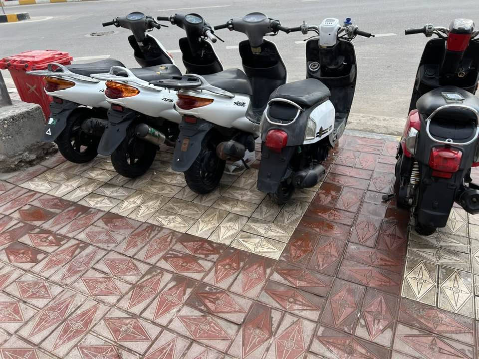 اكرز فحل ونثيه وماكس مصطره وماكس عدله لبيع
سوك الشيوخ ***********
