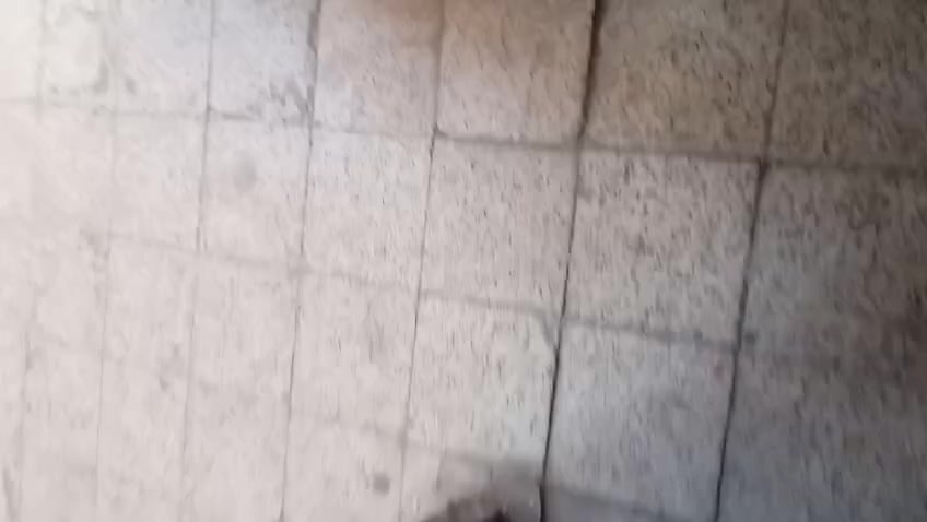 سلام عليكم شقة للاجار شبابيه زغيره بسعدون شارع سميرة ميس اجار 250ودلاليه 100تواصل ***********
