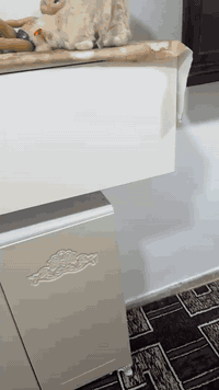 السلام عليكم اغراض للبيع كلمن وسعره


**إذا كنت صاحب هذا الإعلان وتريد حذفه لأي سبب، رجاءا أرسل رسالة إلى الدعم الفني**