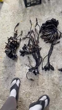 يتوفر جميع انواع قطع غيار السيارات الوارد الكوري والوارد المريكي من مو...